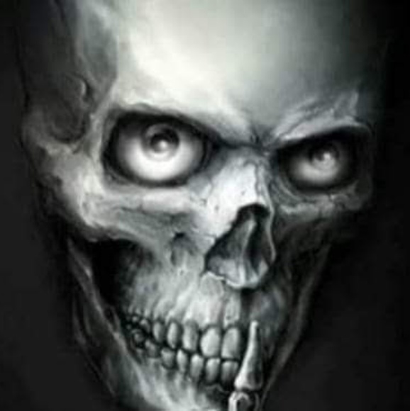 Meet your Posher, Michael - Picture 3 of 3